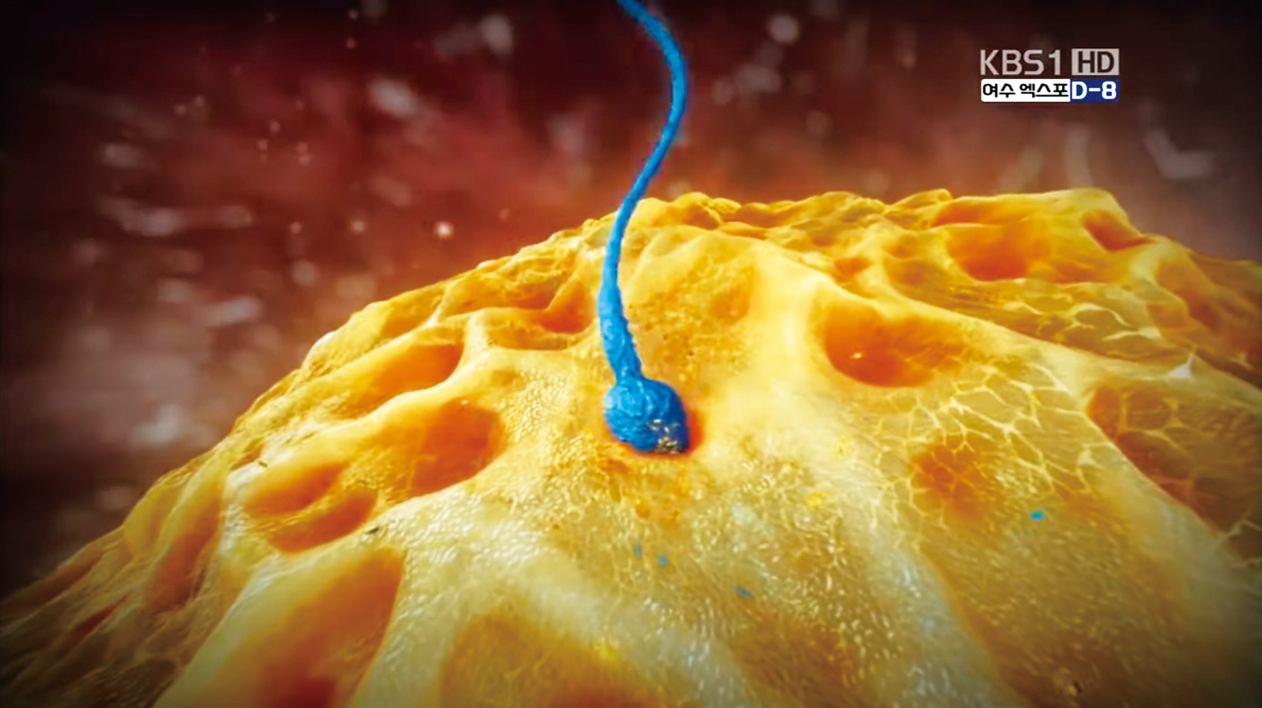 (2023봄여름호_2.지키다1_사진1)정자가 난자 속으로 파고 들어가는 순간, KBS 1TV 3D 의학다큐멘터리 ‘태아’ 캡쳐