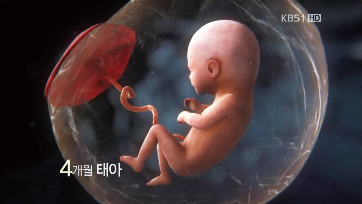 (2023봄여름호_2.지키다1_사진5)임신 4개월째 태아의 모습, KBS 1TV 3D 의학다큐멘터리 ‘태아’ 캡쳐