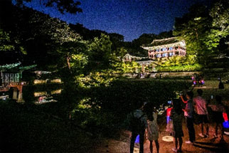 Changdeokgung Palace Moonlight Tour